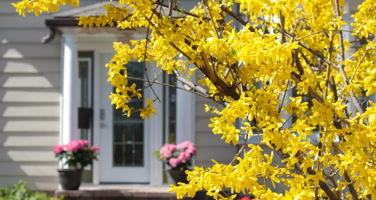 3 Ways to Stand Out in the Spring Market